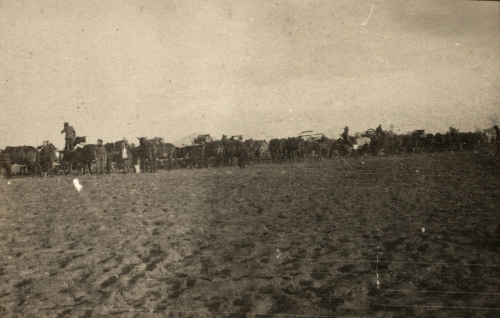Photo from page 11 of album WWI Photograph Album- Egypt &amp; Gallipoli