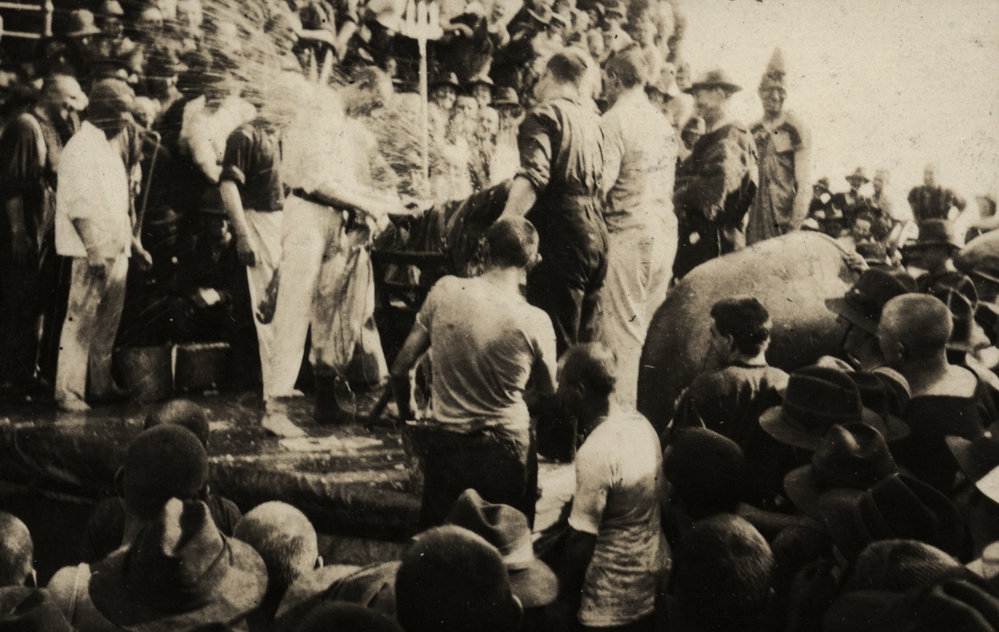 Photo from page 07 of album WWI Photograph Album  - Egypt &amp; Western Front