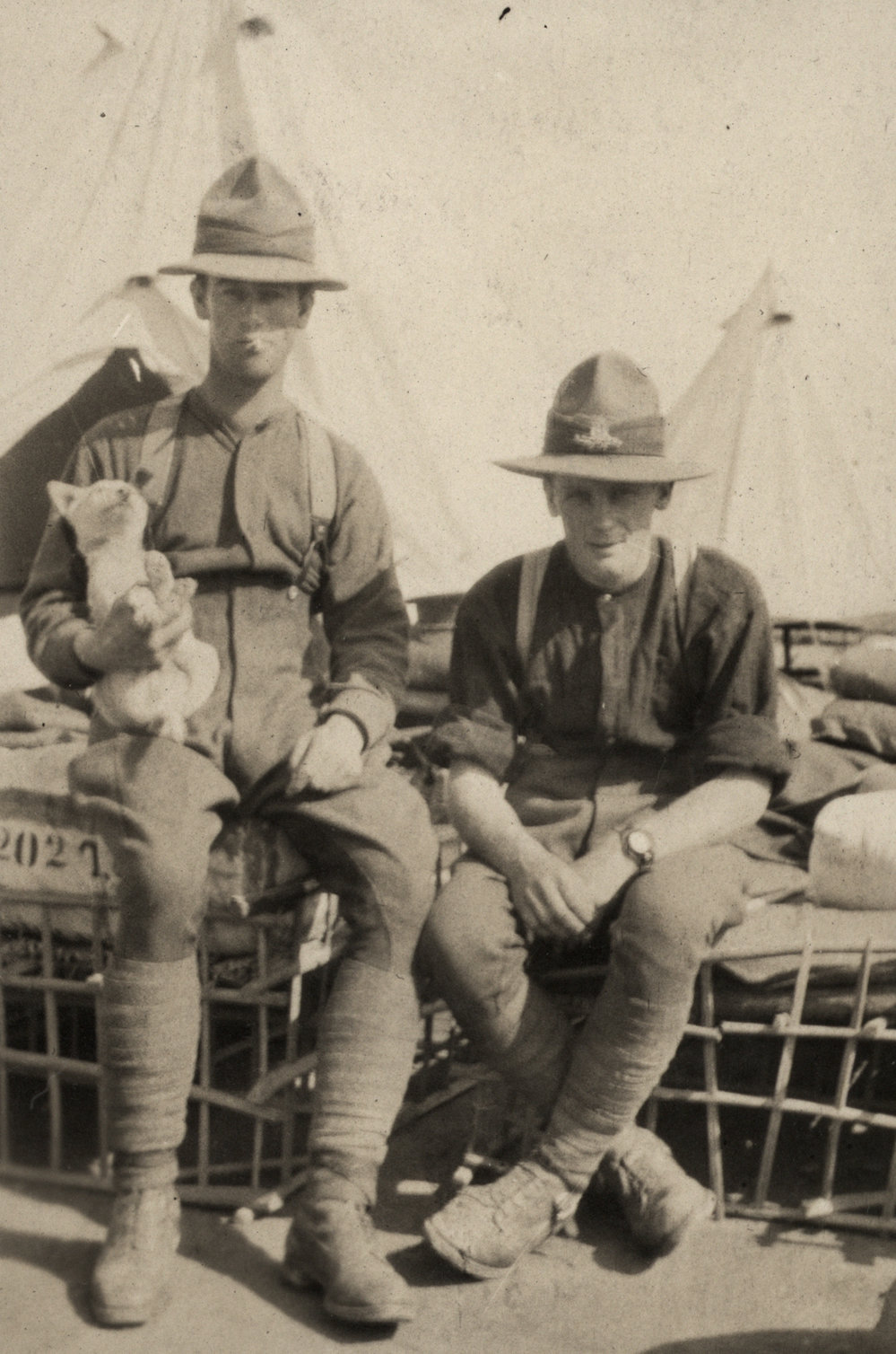 Photo from page 12 of album WWI Photograph Album  - Egypt &amp; Western Front