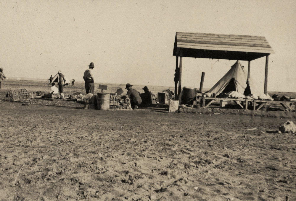 Photo from page 13 of album WWI Photograph Album  - Egypt &amp; Western Front