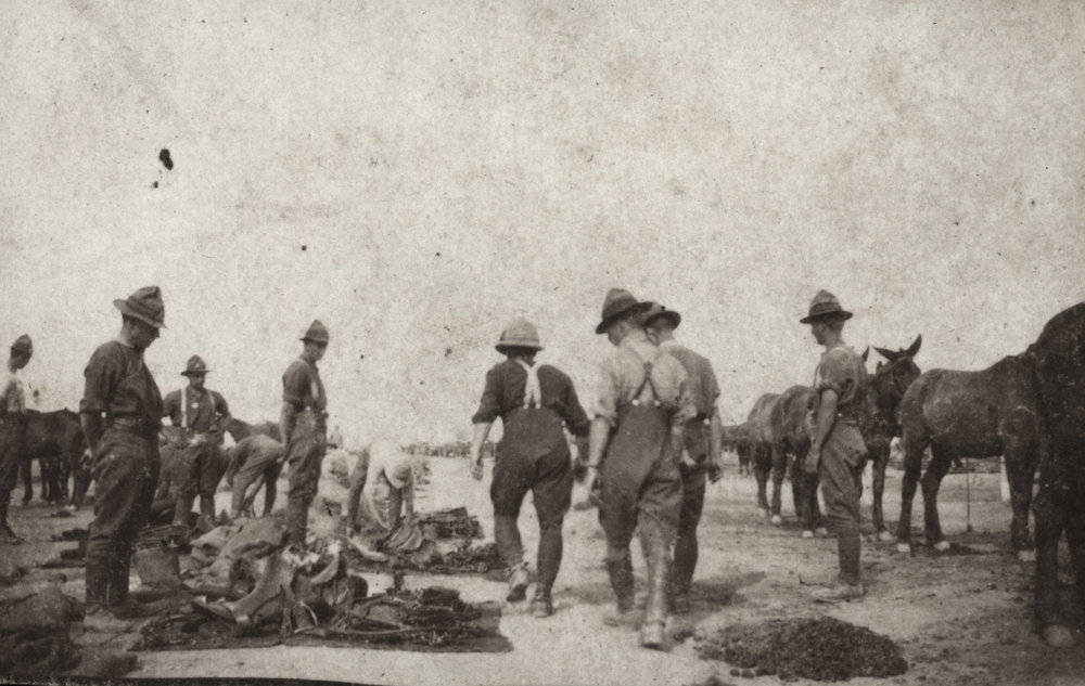 Photo from page 15 of album WWI Photograph Album  - Egypt &amp; Western Front