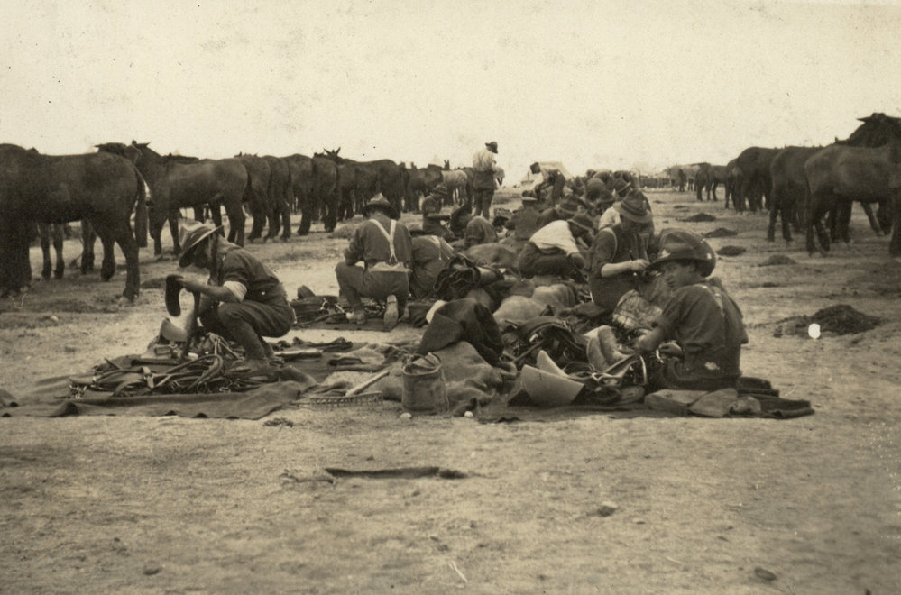 Photo from page 15 of album WWI Photograph Album  - Egypt &amp; Western Front