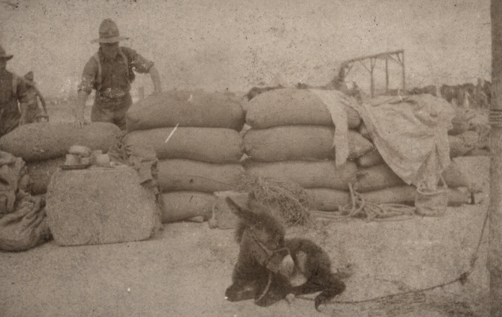 Photo from page 15 of album WWI Photograph Album  - Egypt &amp; Western Front