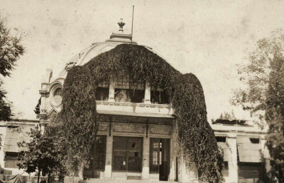 Photo from page 20 of album WWI Photograph Album  - Egypt &amp; Western Front