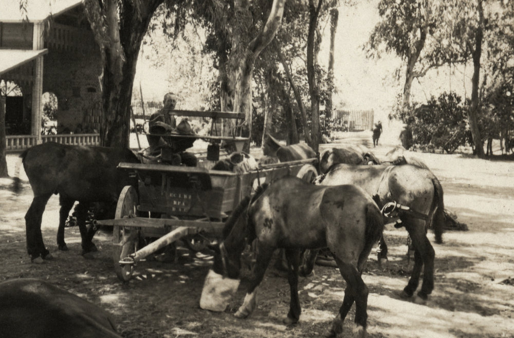 Photo from page 20 of album WWI Photograph Album  - Egypt &amp; Western Front