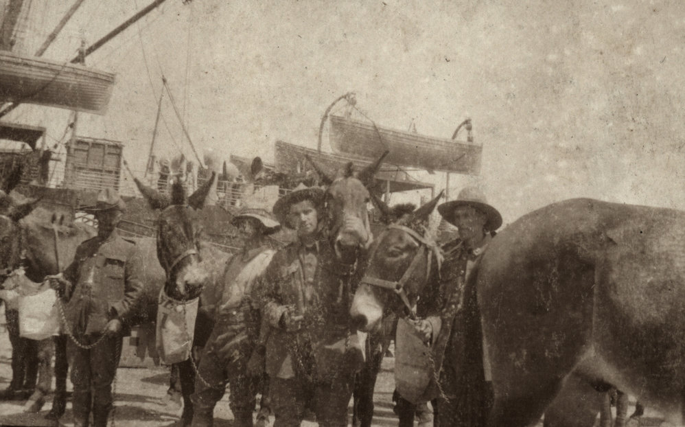 Photo from page 24 of album WWI Photograph Album  - Egypt &amp; Western Front