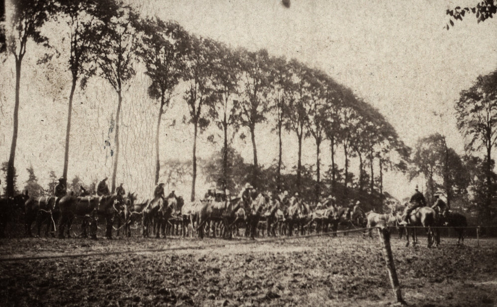 Photo from page 25 of album WWI Photograph Album  - Egypt &amp; Western Front