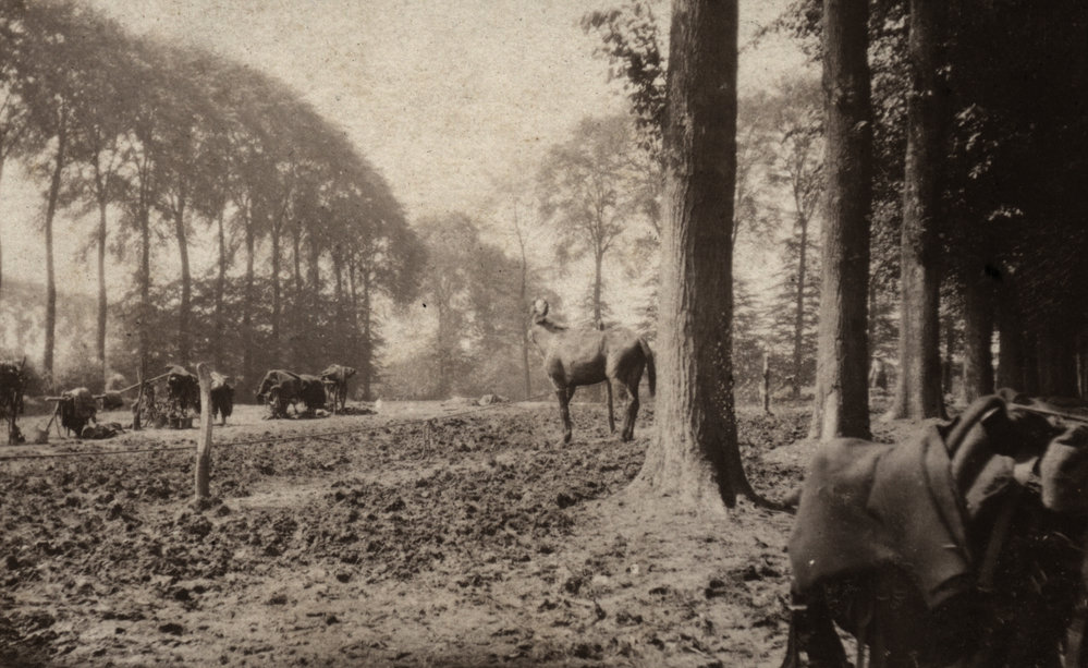 Photo from page 25 of album WWI Photograph Album  - Egypt &amp; Western Front