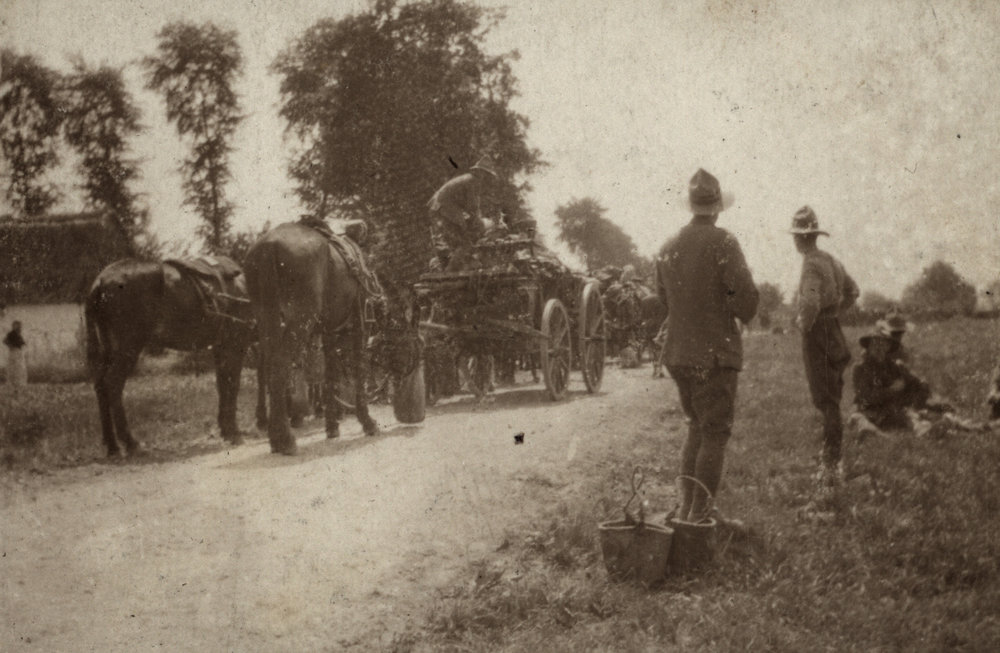 Photo from page 26 of album WWI Photograph Album  - Egypt &amp; Western Front