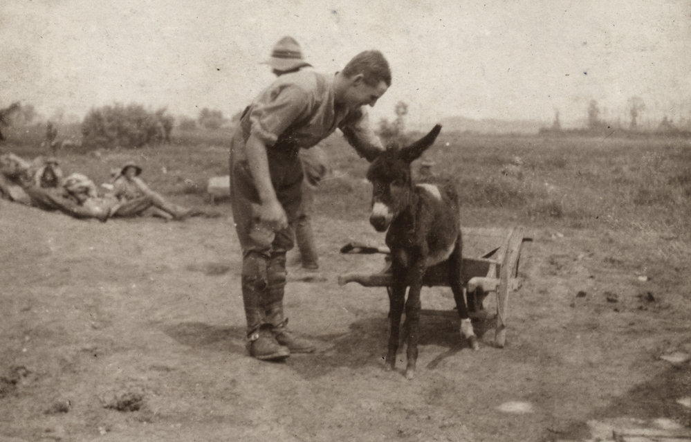Photo from page 27 of album WWI Photograph Album  - Egypt &amp; Western Front