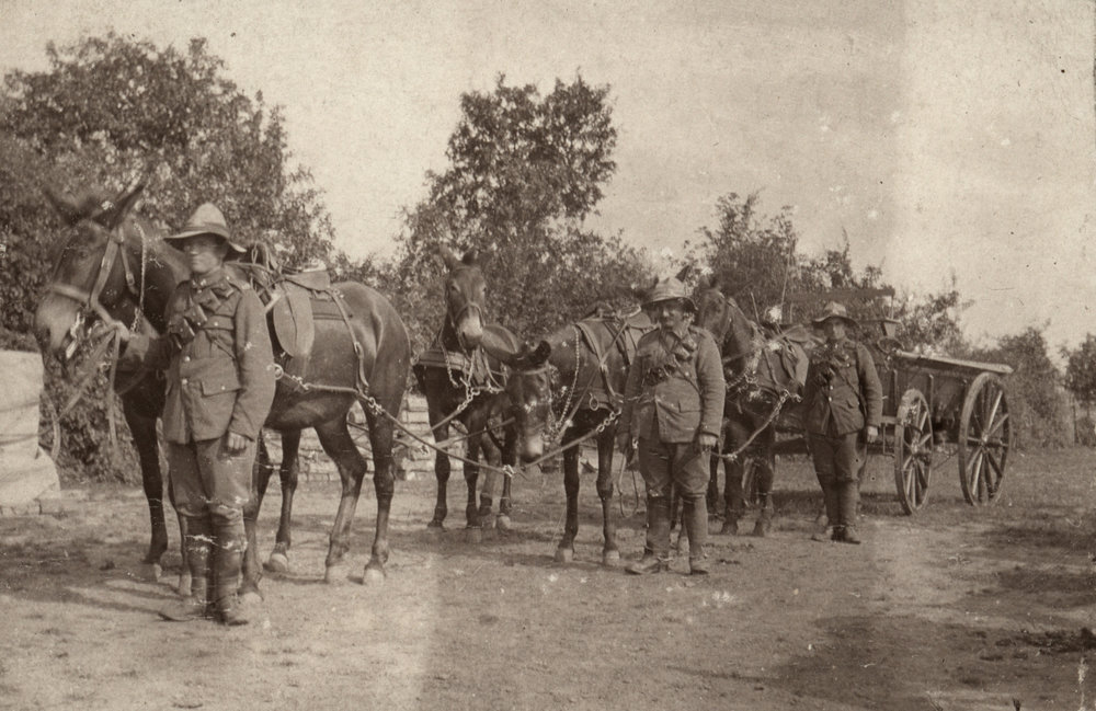 Photo from page 27 of album WWI Photograph Album  - Egypt &amp; Western Front