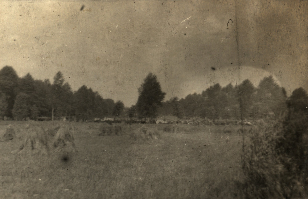 Photo from page 29 of album WWI Photograph Album  - Egypt &amp; Western Front