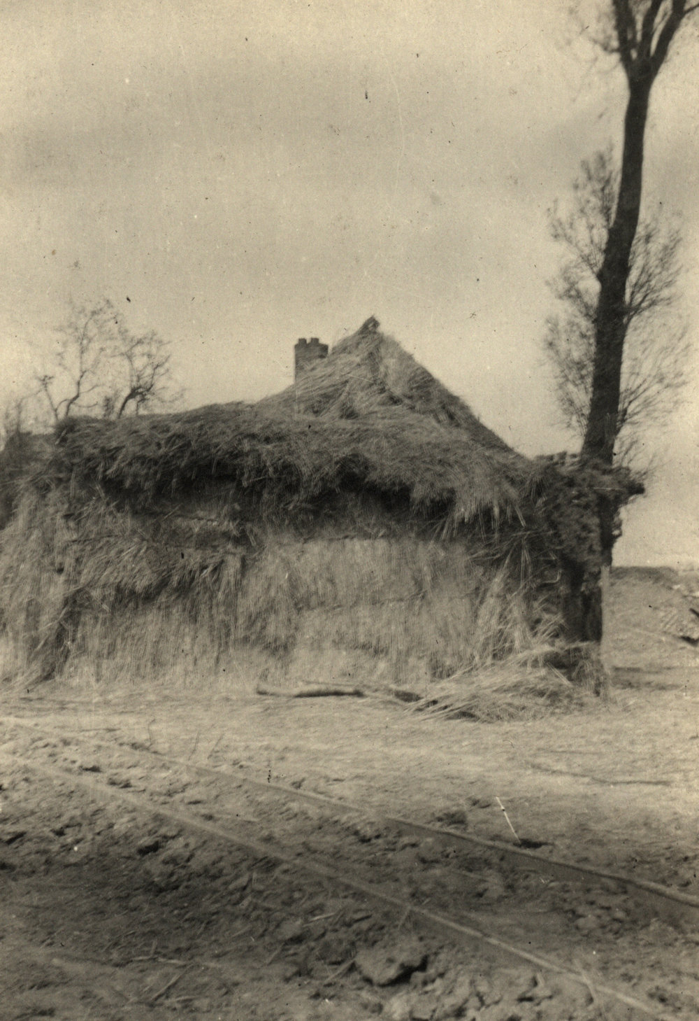 Photo from page 30 of album WWI Photograph Album  - Egypt &amp; Western Front
