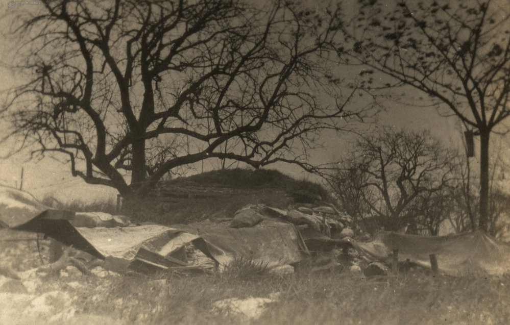 Photo from page 33 of album WWI Photograph Album  - Egypt &amp; Western Front