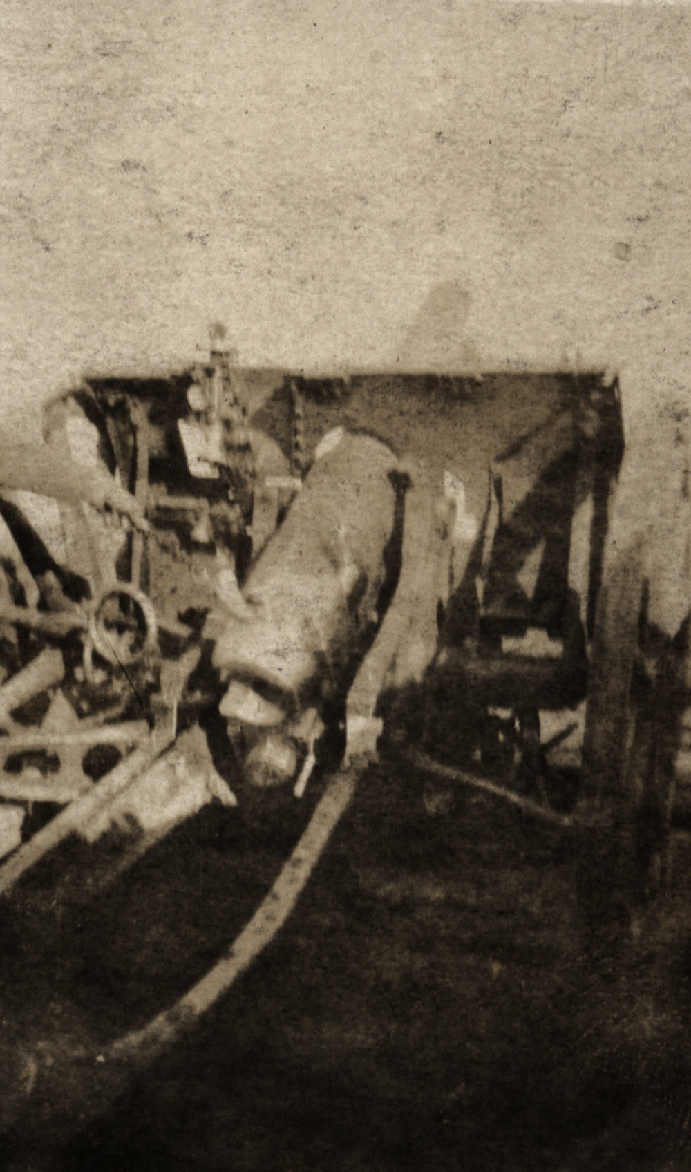 Photo from page 37 of album WWI Photograph Album  - Egypt &amp; Western Front