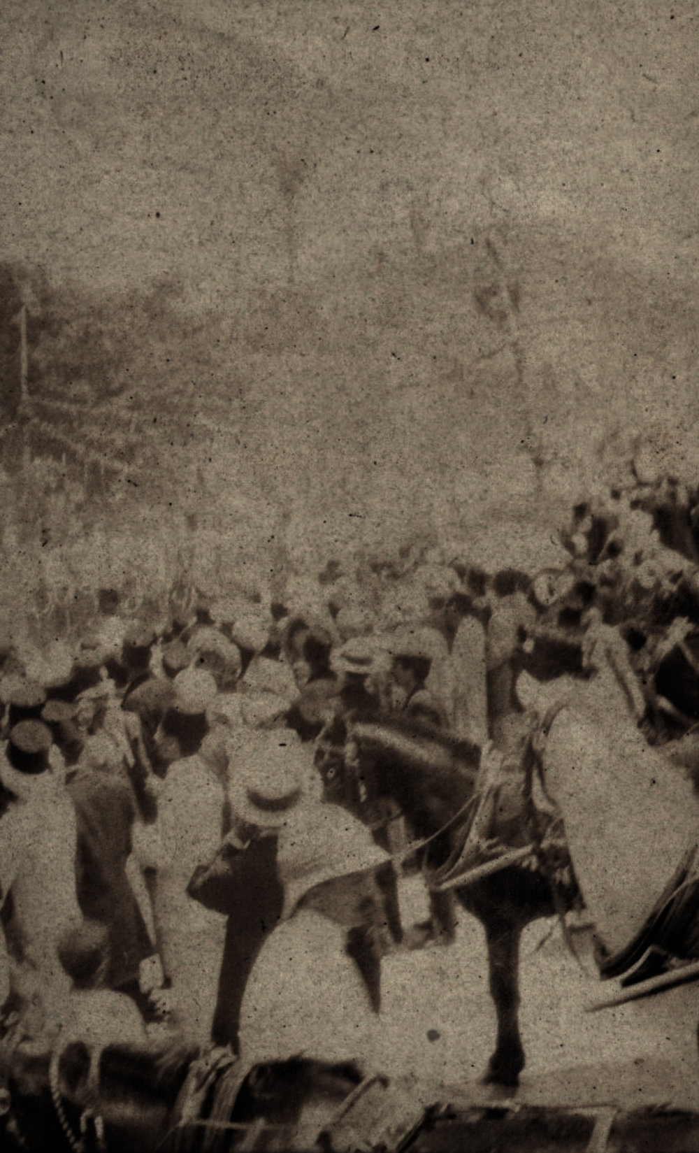 Photo from page 08 of album WWI Photograph Album  - Gallipoli