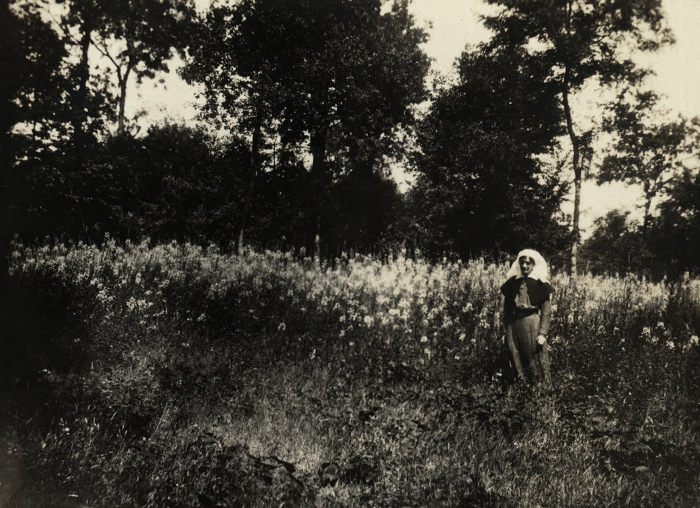 Photo from page 04 of album WWI Photograph Album  - France