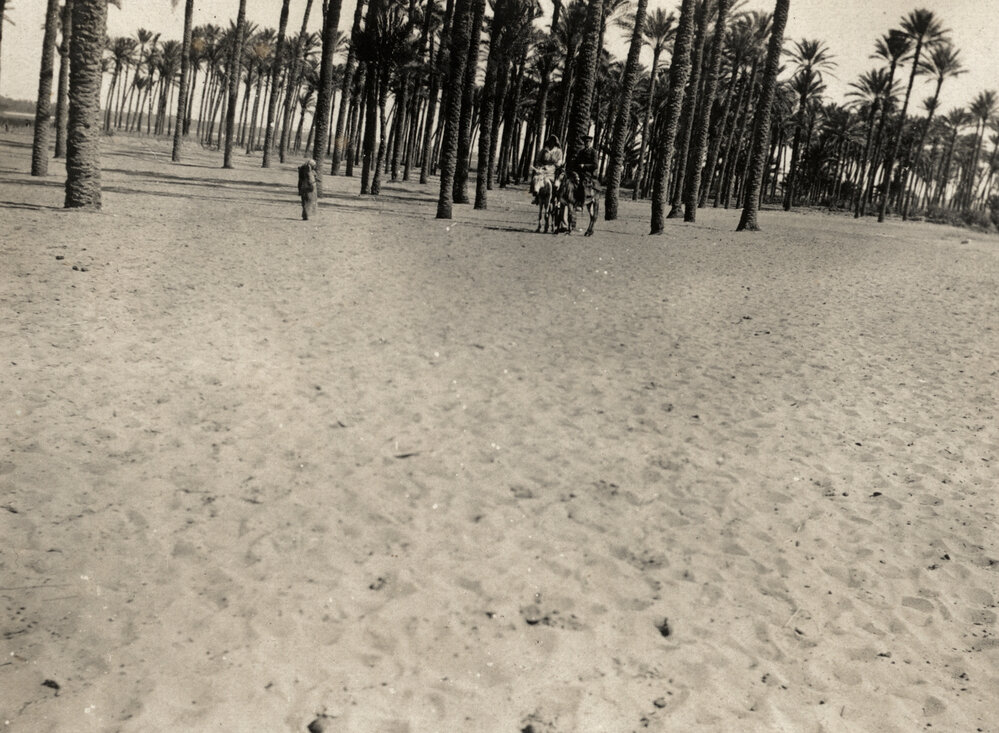 Photo from page 07 of album WWI Photograph Album  - England