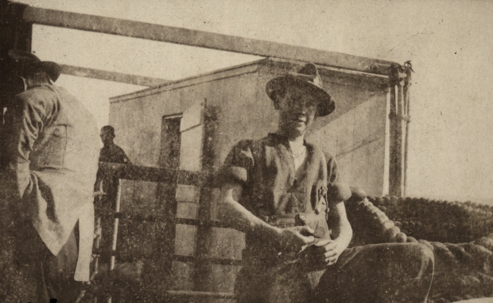 Photo from page 03 of album WWI Photograph Album  - New Zealand and Western Front