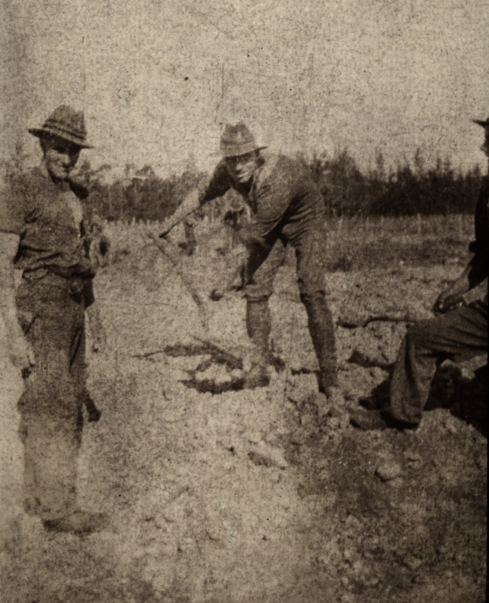 Photo from page 10 of album WWI Photograph Album  - New Zealand and Western Front