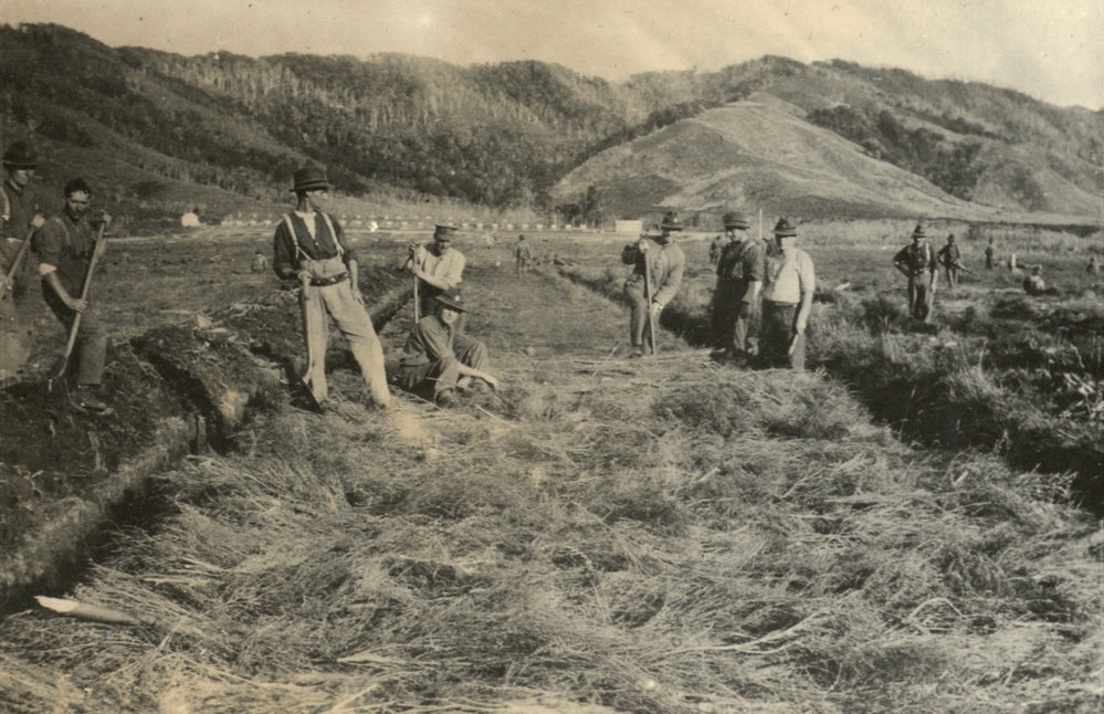 Photo from page 31 of album WWI Photograph Album  - New Zealand and Western Front