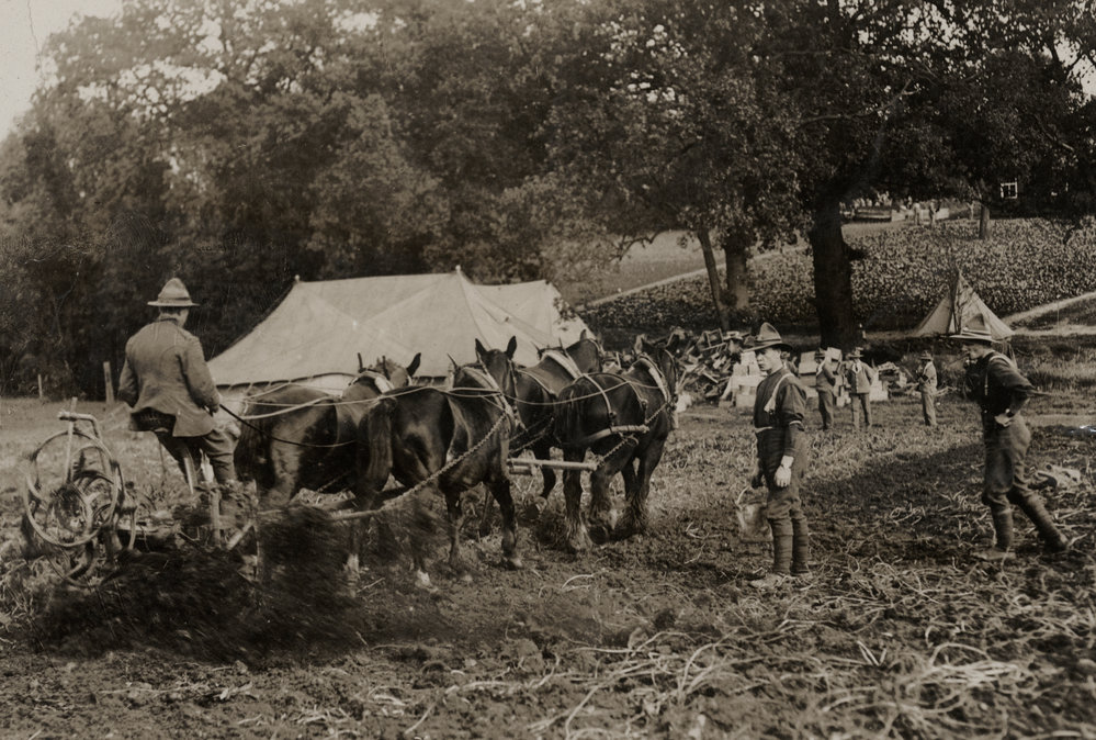 Photo from page 04 of album WWI Photograph Album  - Egypt &amp; England