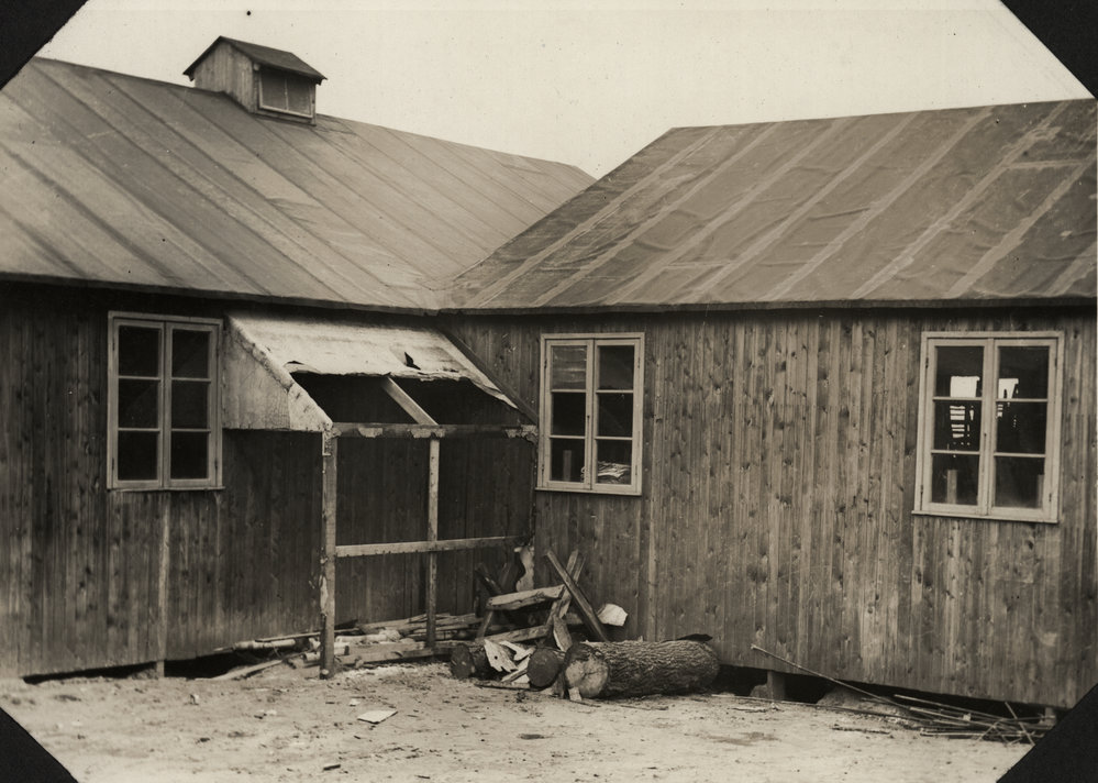 Photo from page 10 of album WWI Photograph Album  - Egypt &amp; England