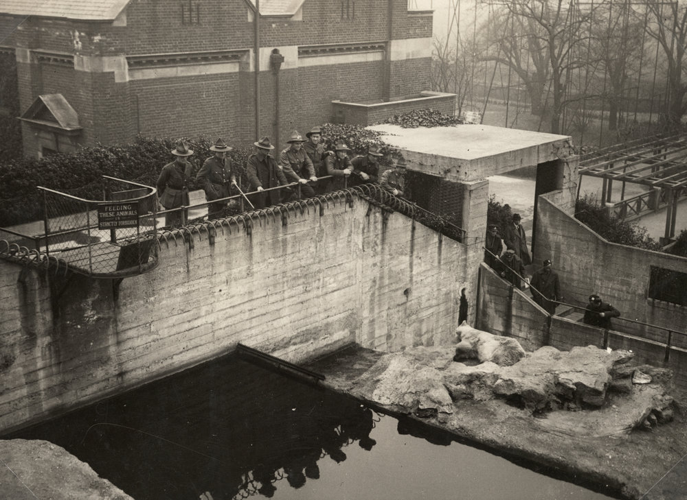 Photo from page 12 of album WWI Photograph Album  - Egypt &amp; England