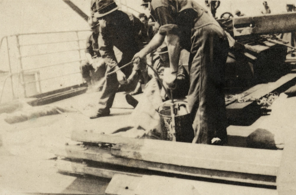 Photo from page 03 of album WWI Photograph Album  - Western Front