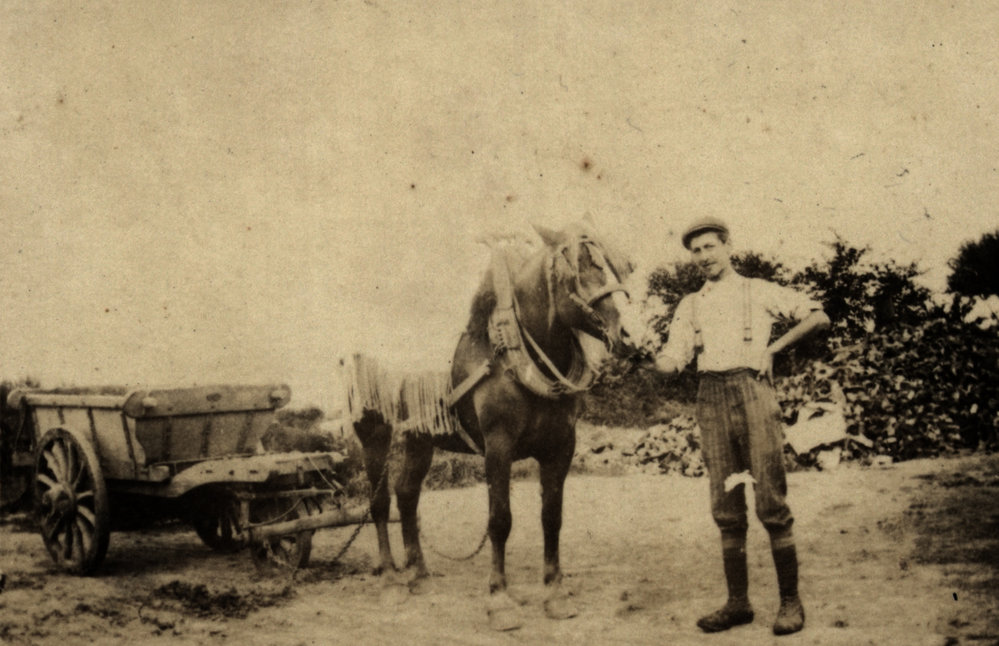 Photo from page 04 of album WWI Photograph Album  - Western Front