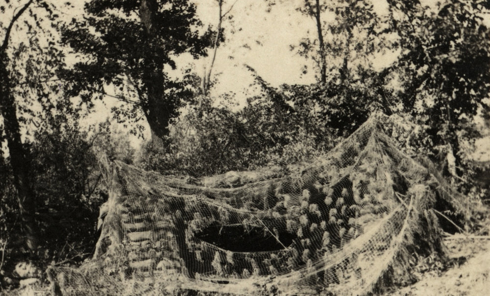 Photo from page 07 of album WWI Photograph Album  - Western Front