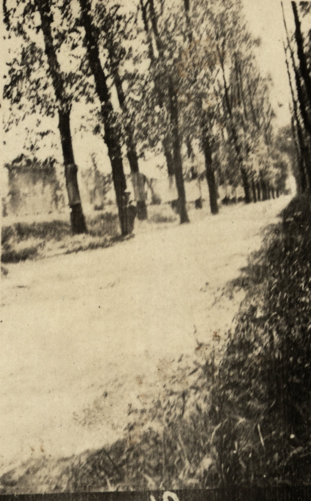 Photo from page 07 of album WWI Photograph Album  - Western Front