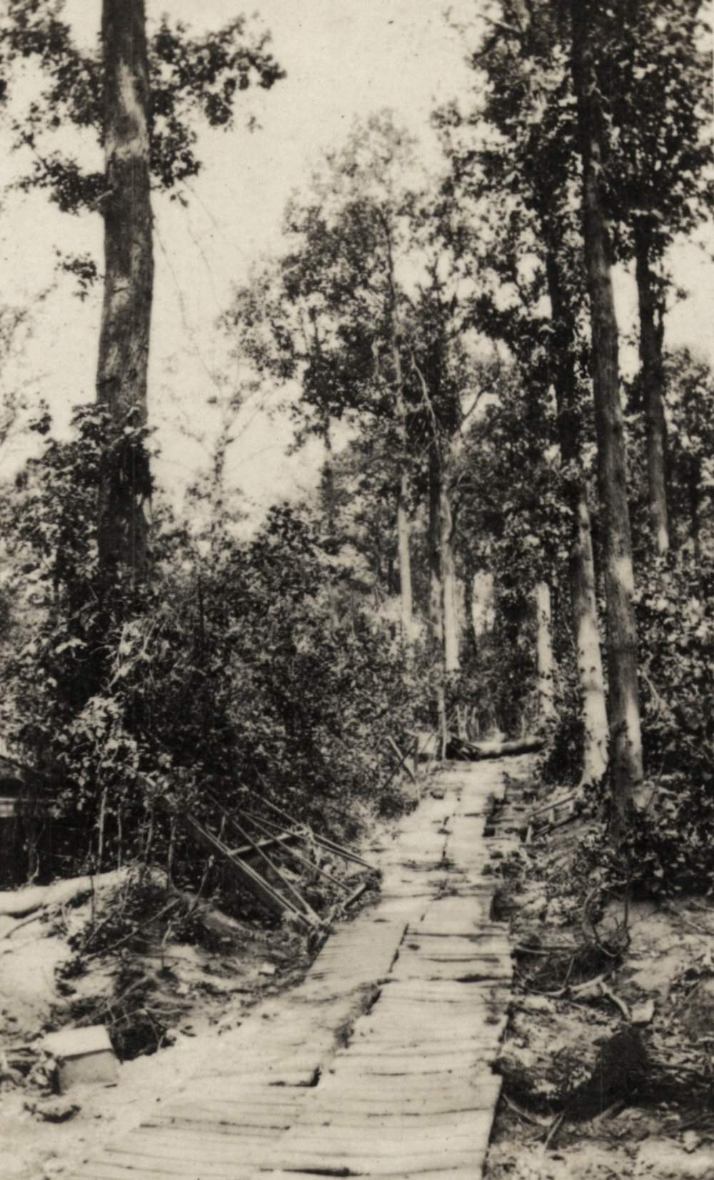 Photo from page 10 of album WWI Photograph Album  - Western Front