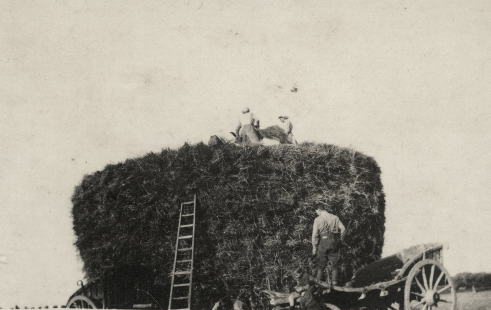 Photo from page 14 of album WWI Photograph Album  - Western Front