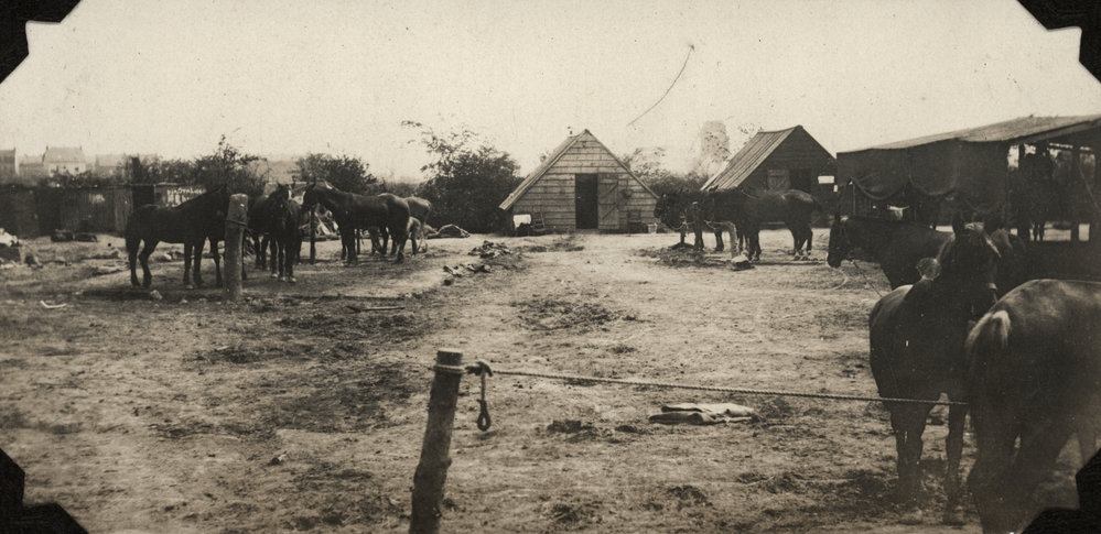 Photo from page 17 of album WWI Photograph Album  - Egypt, England &amp; the Western Front