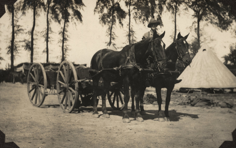 Photo from page 19 of album WWI Photograph Album  - Egypt, England &amp; the Western Front