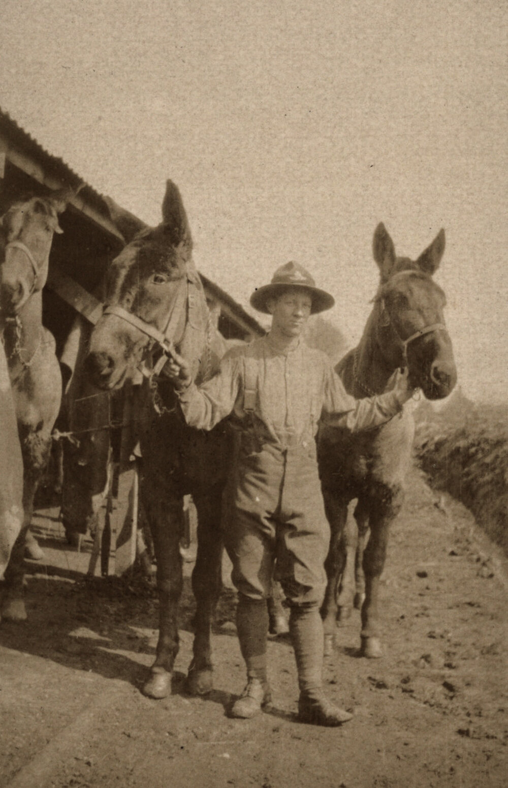 Photo from page 06 of album WWI Photograph Album  - Western Front