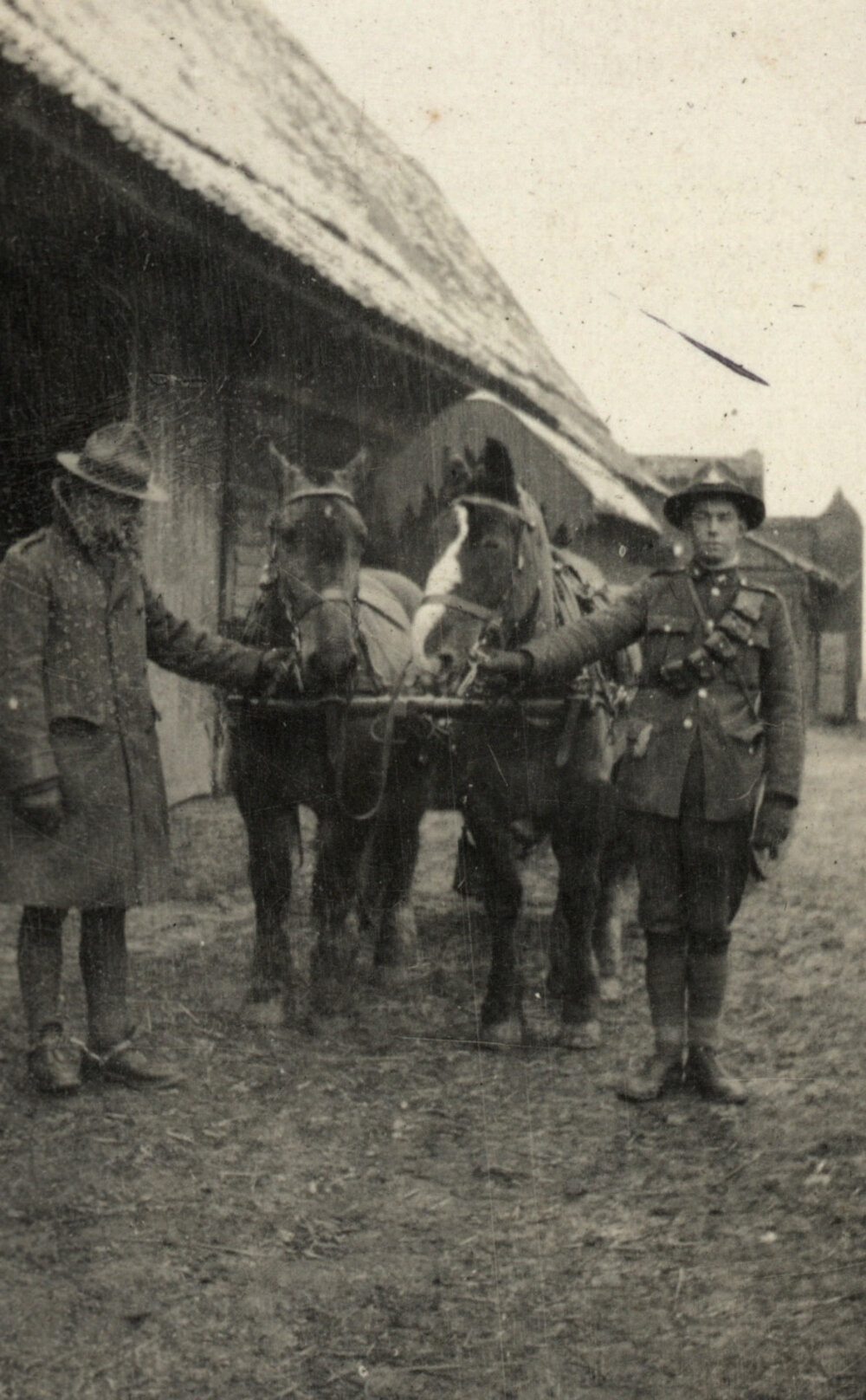 Photo from page 06 of album WWI Photograph Album  - Western Front