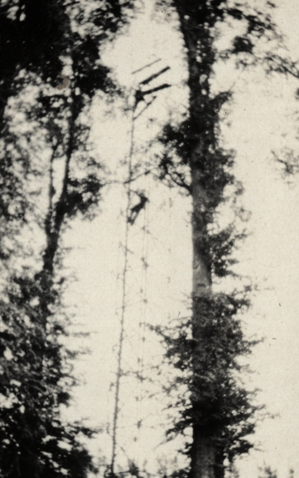 Photo from page 11 of album WWI Photograph Album  - Western Front