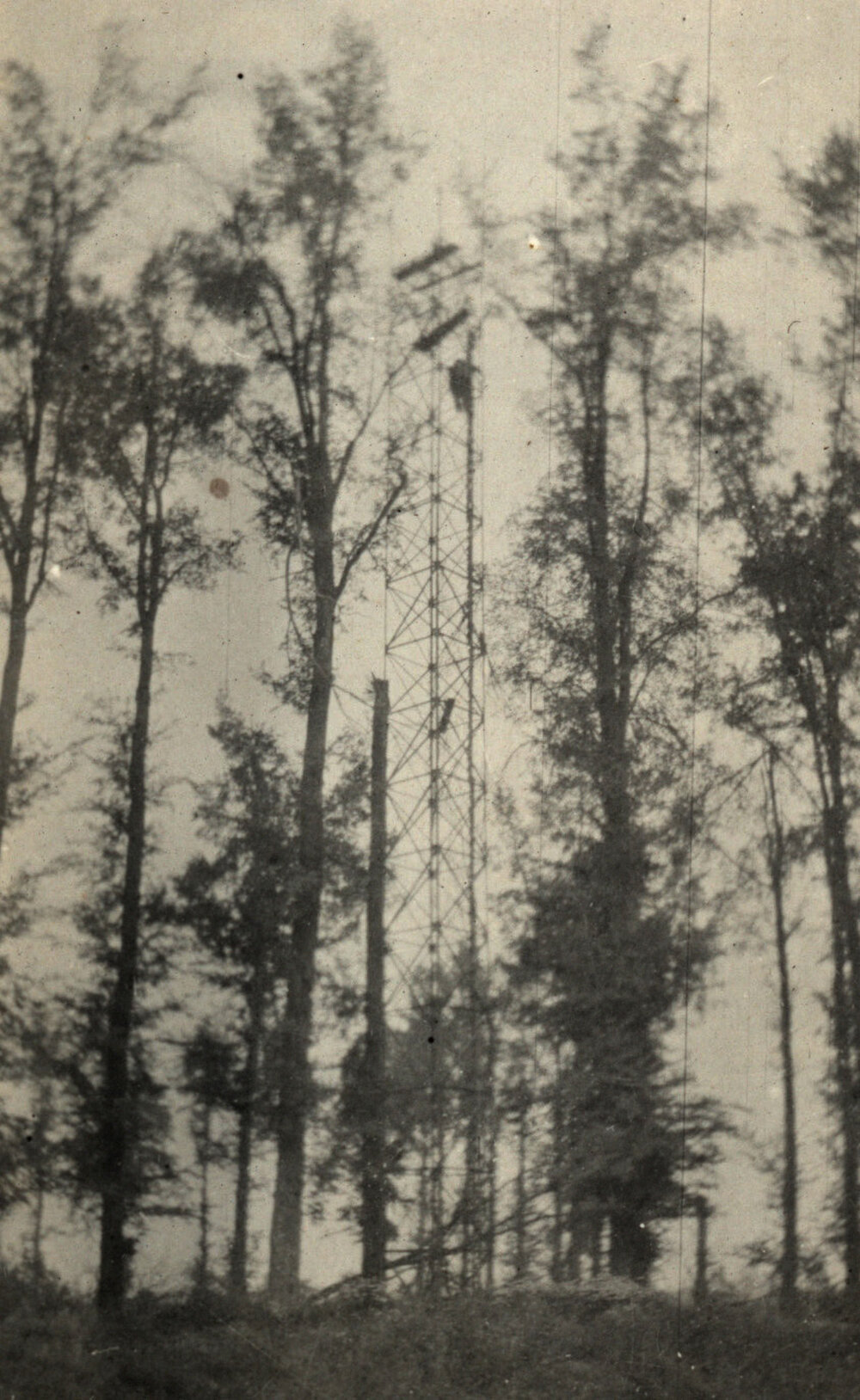 Photo from page 11 of album WWI Photograph Album  - Western Front