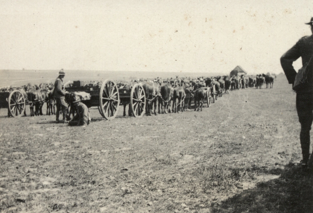 Photo from page 13 of album WWI Photograph Album  - Western Front