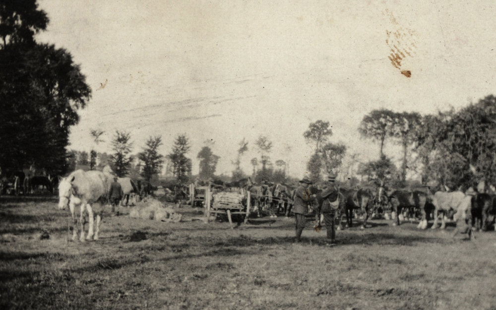Photo from page 14 of album WWI Photograph Album  - Western Front
