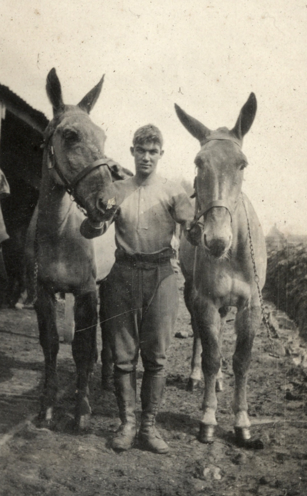 Photo from page 03 of album WWI Photograph Album  - Western Front