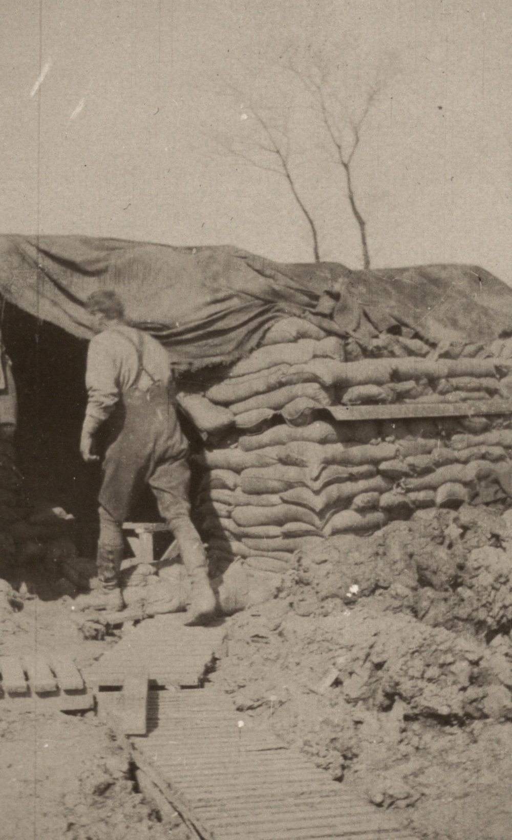 Photo from page 03 of album WWI Photograph Album  - Western Front