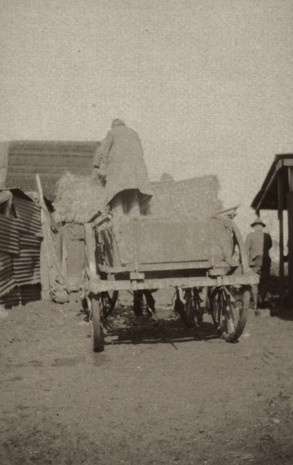 Photo from page 03 of album WWI Photograph Album  - Western Front