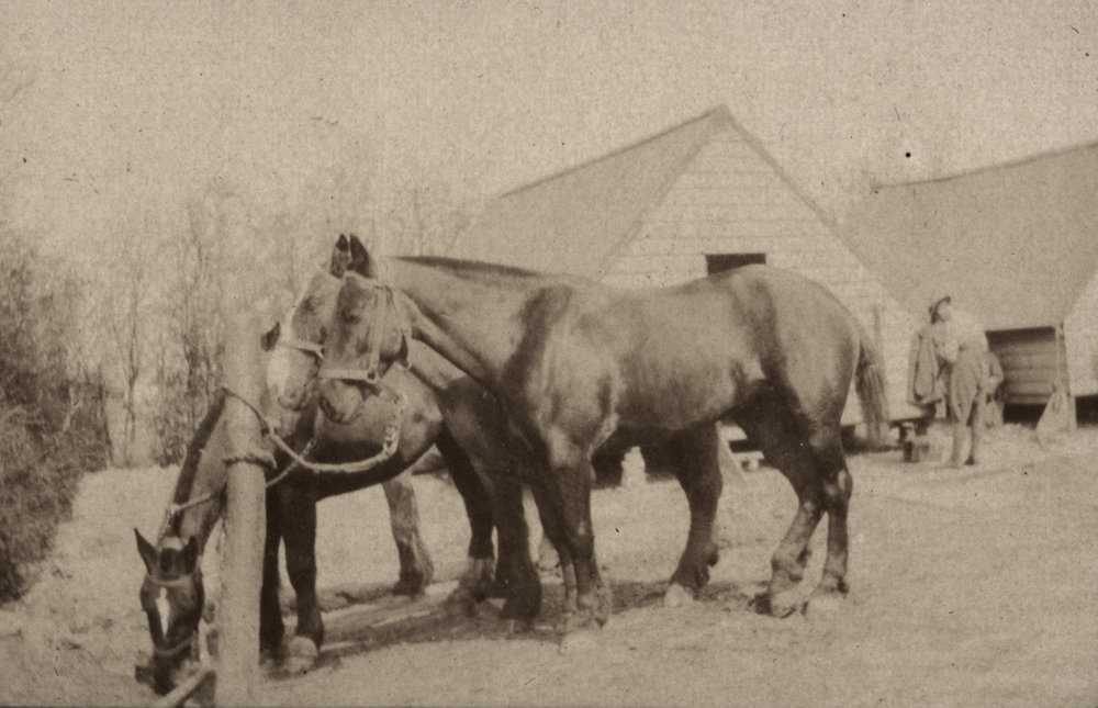 Photo from page 13 of album WWI Photograph Album  - Western Front