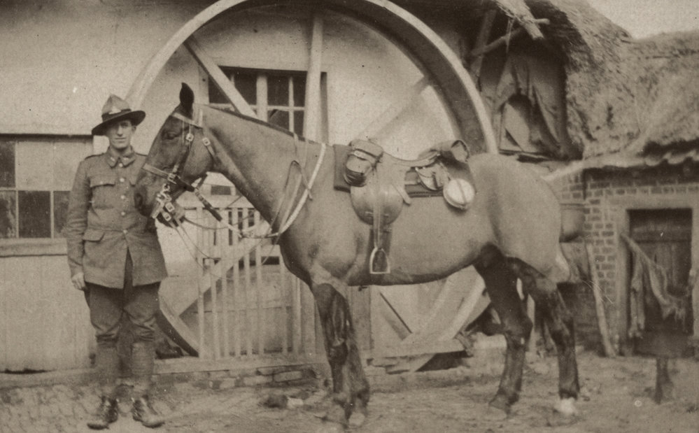 Photo from page 14 of album WWI Photograph Album  - Western Front