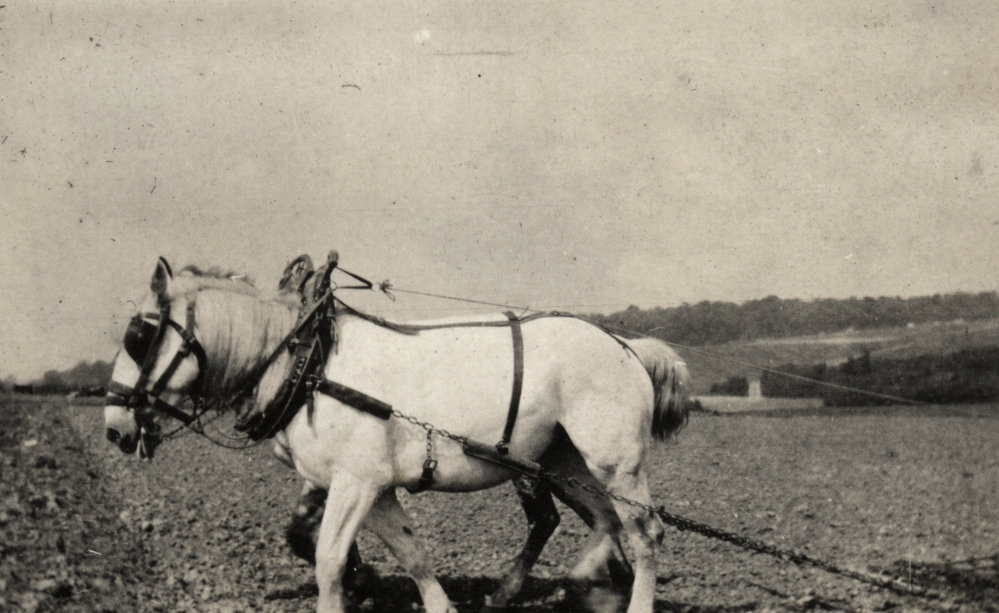 Photo from page 04 of album WWI Photograph Album  - Western Front