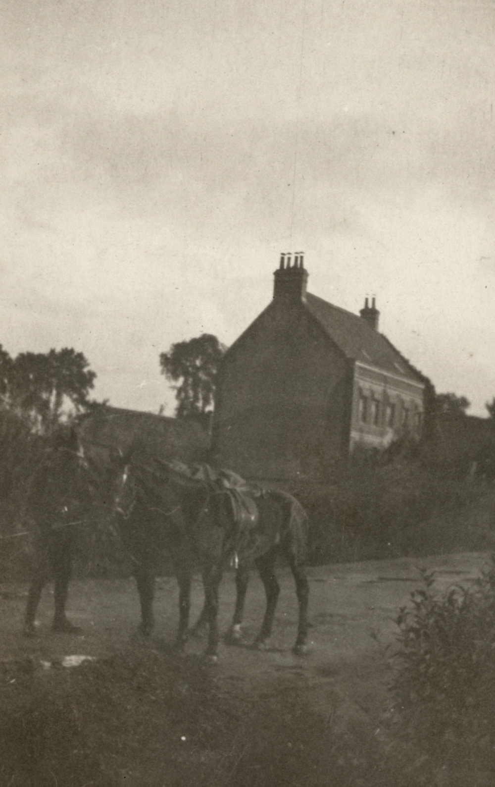 Photo from page 14 of album WWI Photograph Album  - Western Front