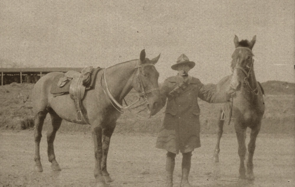 Photo from page 06 of album WWI Photograph Album  - Western Front